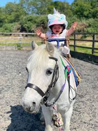 Image result for Weybridge Equestrian Centre