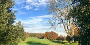Image result for Dorking Golf Club