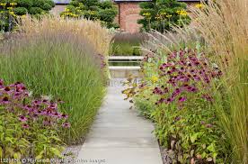 Attēlu rezultāti vaicājumam “Calamagrostis purpurea flower”