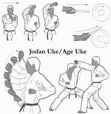 Image result for Jodan Karate
