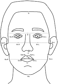 Image result for Co de Crista Chins