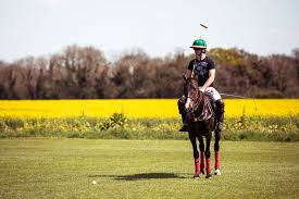 Image result for Kirtlington Park Polo Club