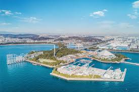 「シア・ハス」の画像検索結果