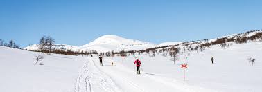 Image result for Scandinavian slope and cross country skiing