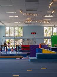 Image result for Aero Gymnastics Club