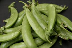 Attēlu rezultāti vaicājumam “Pisum sativum”