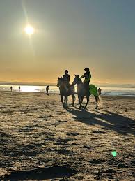 Image result for Ayr Riding Club