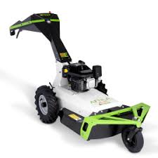 Image result for etesia tehron