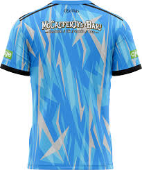 Image result for Tir Chonaill Gaels G A A Club