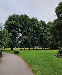 Image result for Gosforth Central Bowls Club