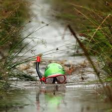 Image result for World Champion Bog Snorkelling Triathlete