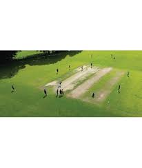 Image result for Old Dorkinian Cricket Club