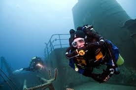 Image result for Deep and Wide Diving