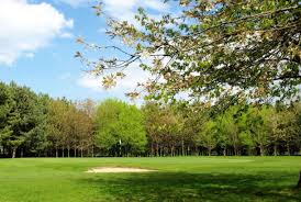 Image result for Driffield Golf Club