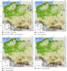 Attēlu rezultāti vaicājumam “Cinclidium stygium macro”