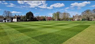 Image result for Calverley St Wilfrid`s Cricket Club