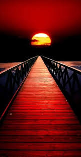 Image result for bilder