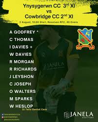 Image result for Ynysygerwn Cricket Club