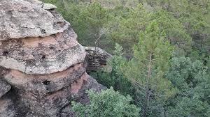 Image result for "Selva Pascuala"