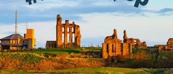 Image result for Tyneside Loipers