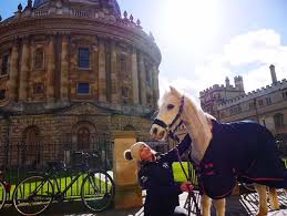 Image result for Oxford Riding Club