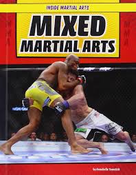 Image result for Full Element Mixed Martial Arts