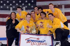 Image result for Team-Tigers Roller Hockey Club