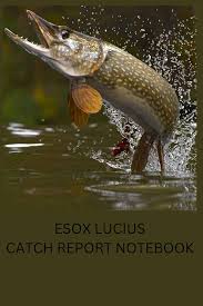 Image result for Esox lucius