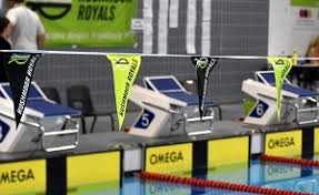 Image result for Rushmoor Royals