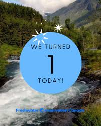 Image result for Sander canadensis/vitreus