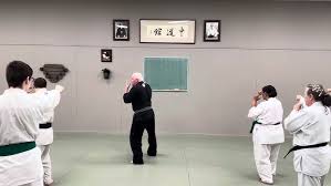 Image result for Synergy Tae Kwon Do