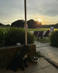 Image result for Henfield Cricket Club