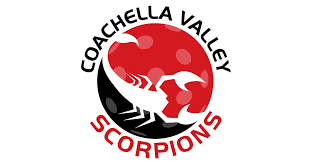 Image result for Scorpions Table Tennis Club