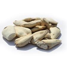 Attēlu rezultāti vaicājumam “Colchicum luteum”