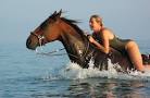 Horse riding in Greece Crete Island Odysseia Stables