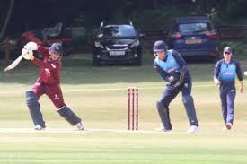 Image result for Mildenhall Cricket Club