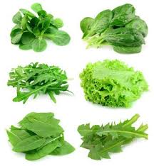 Image result for Feldsalat
