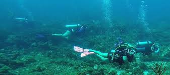 Image result for Duchy Divers