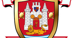 Image result for Guildford United Football Club