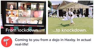 Image result for Haxby karate club
