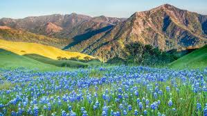 Image result for Ancestral Mountains