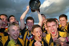 Image result for St Peter`s Gaa