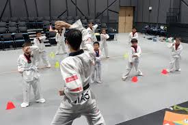 Image result for International Tae Kwon Do Academy