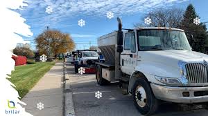 Image result for brilsnoer