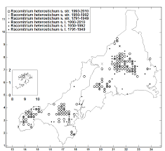 Attēlu rezultāti vaicājumam “Racomitrium heterostichum”