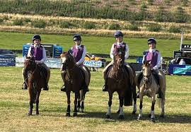 Image result for Peebles & District Riding Club