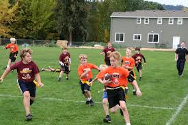 Image result for Comets Junior Badminton Club