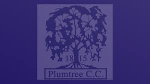 Image result for Plumtree Cricket Club