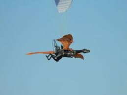 Image result for HAINAULT & CHIGWELL CHANGQUAN FLYING DRAGON