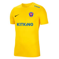 Image result for Staines Albion Fc